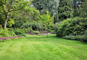 Optimiser l'expérience du jardin à Saint-Meloir-des-Bois